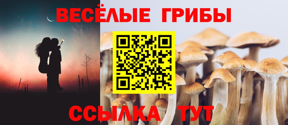 где найти наркотики  Галлюциногенные грибы мицелий  Псилоцибиновые грибы ЛСД  Вход с VPN  Советский 